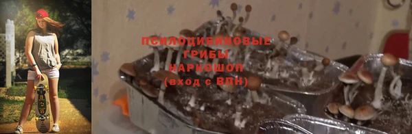 эйфоретик Надым